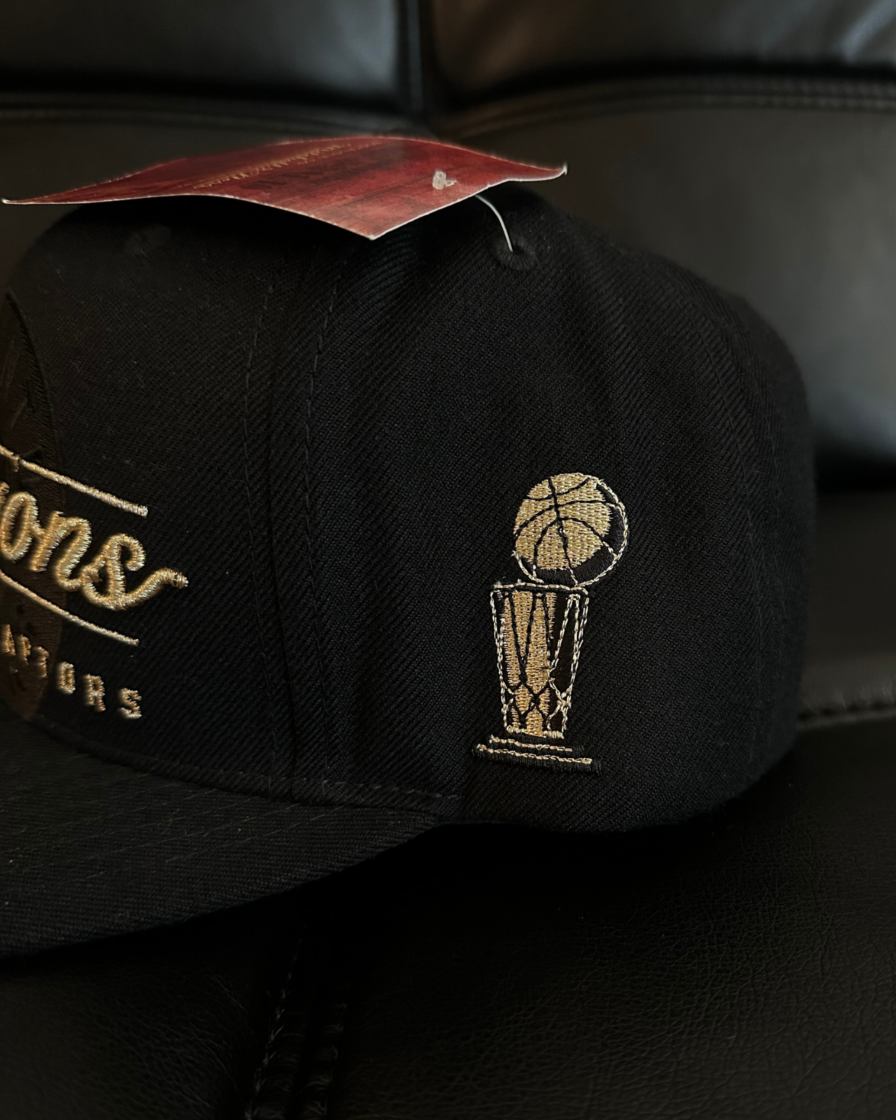 NWT 2019 Mitchell & Ness Toronto Raptors NBA Champions Snapback Hat