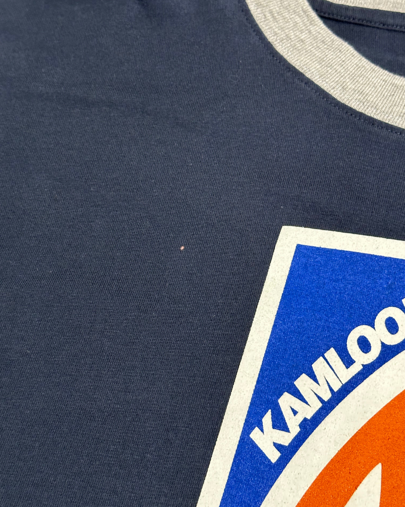 
                  
                    Vintage Kamloops Blazers WHL T-Shirt - Size L
                  
                