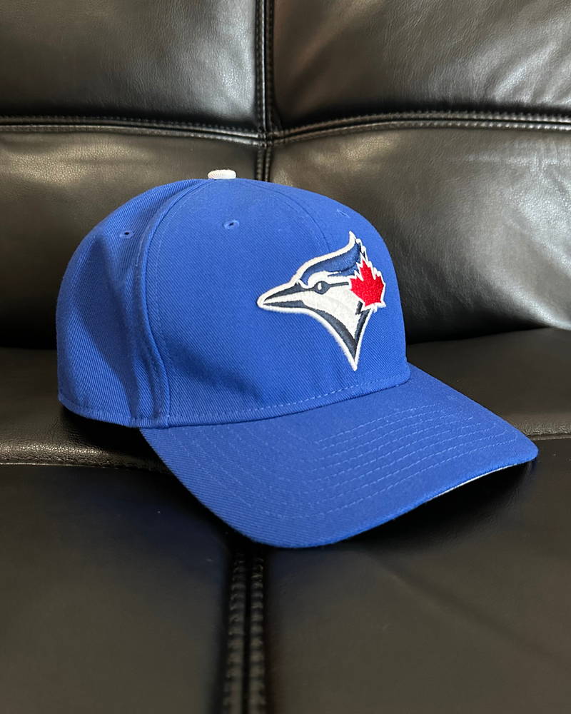 
                  
                    Nike Dri-Fit Toronto Blue Jays MLB Strap Back Hat
                  
                