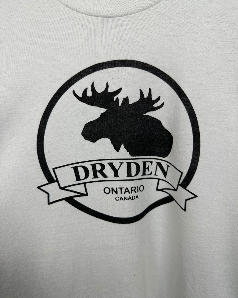 
                  
                    Vintage Fruit of the Loom Single Stitch Dryden Ontario T-Shirt - Size L
                  
                
