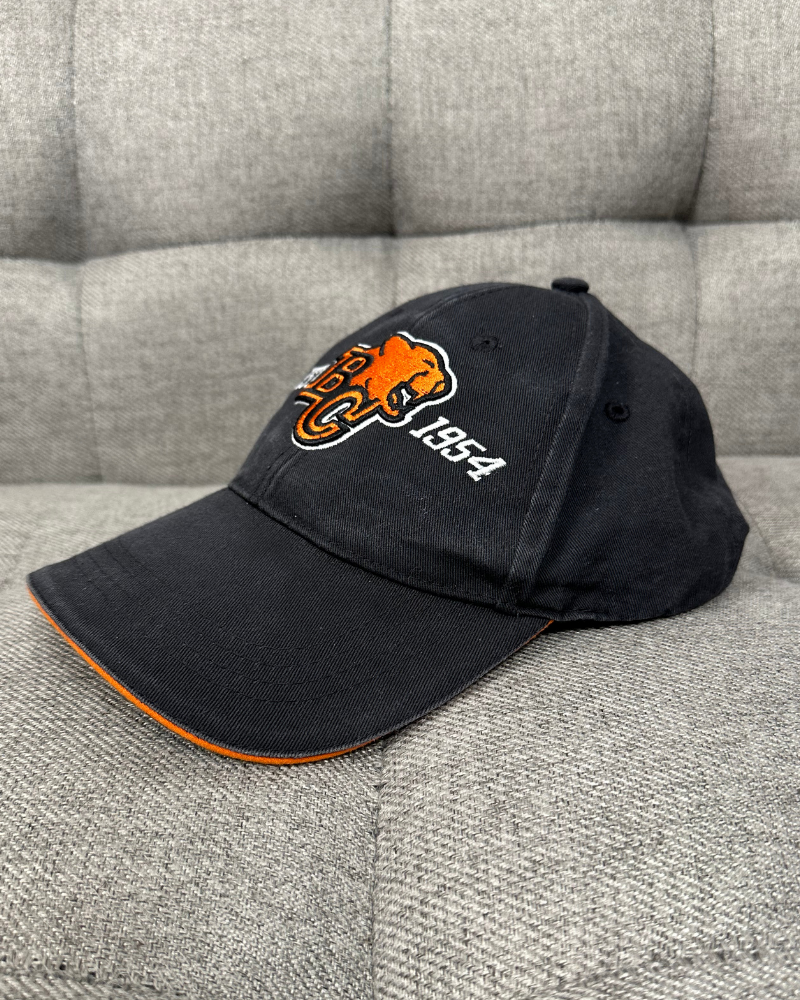 
                  
                    Vintage BC Lions CFL Cap Hat
                  
                