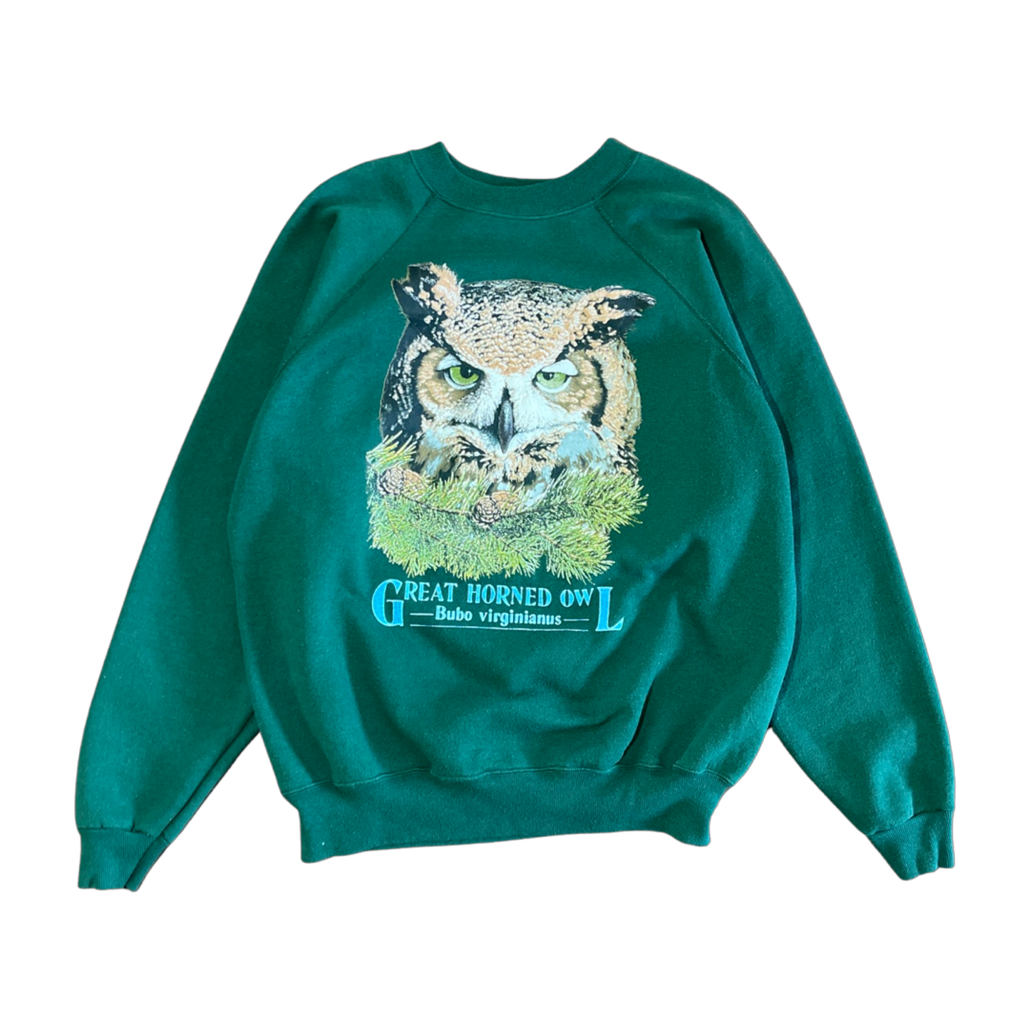 
                  
                    Vintage Great Horned Owl Crewneck Sweatshirt - Size XL
                  
                